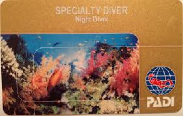 Specialty «Night Diver»