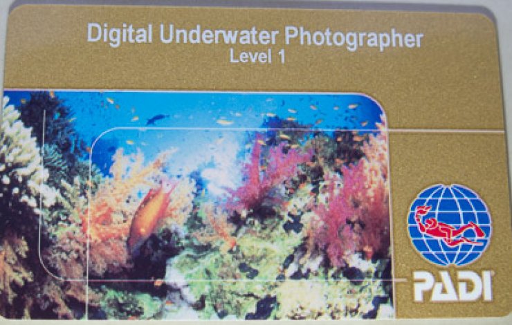Specialty «Digital Underwater Photographer»