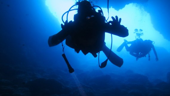 The underwater world of the Adriatic Sea