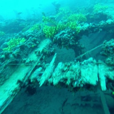 Diving in Montenegro. Wreck Tihany. Brod Tihani