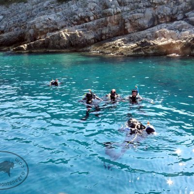 Diving for groups in Montenegro