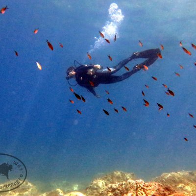 Scuba diving in Montenegro
