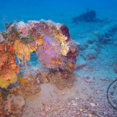 Dive on the wreck Galija. Montenegro