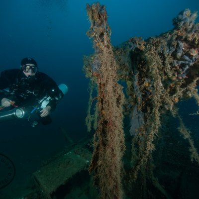 Wreck diving in Montenegro. Higgins