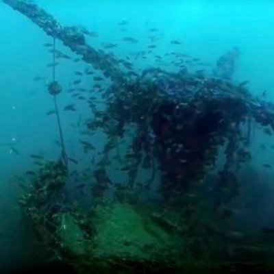 Diving on the wreck Higgins. Montenegro