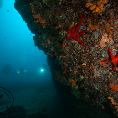 Cave diving in Montenegro
