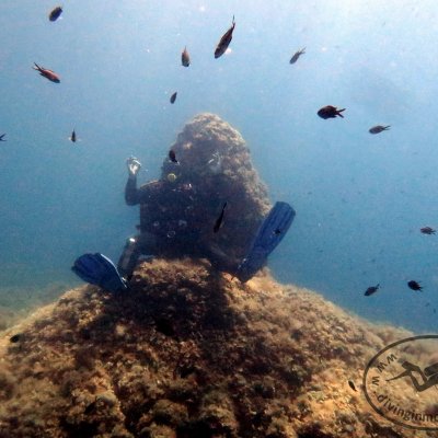 Diving for beginners in Montenegro