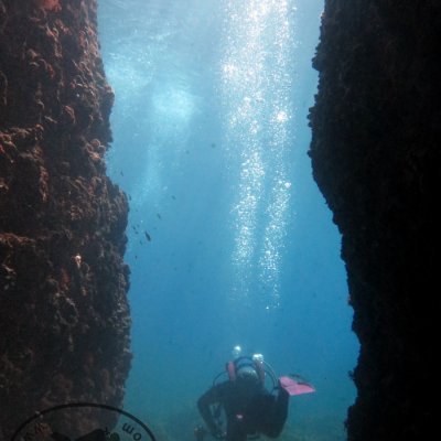 Diving for groups in Montenegro
