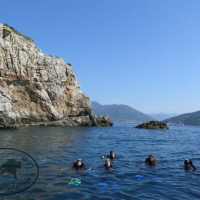 Daily diving in Montenegro