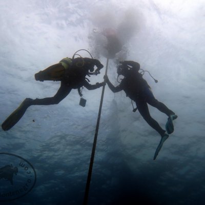Diving courses PADI. Montenegro