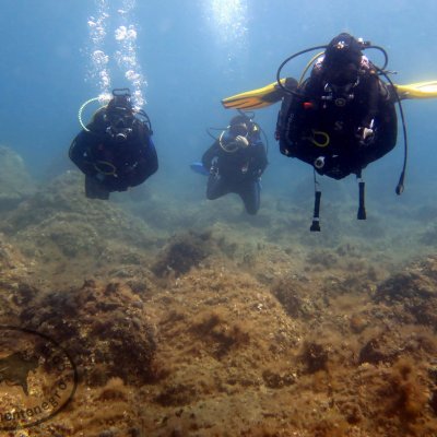 Daily dives. Montenegro. Cape Kobila